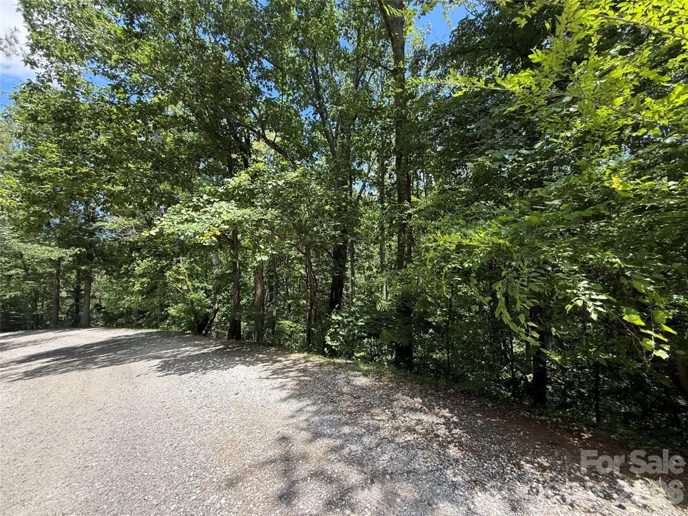 1 Rixhaven Drive Saluda, NC 28773