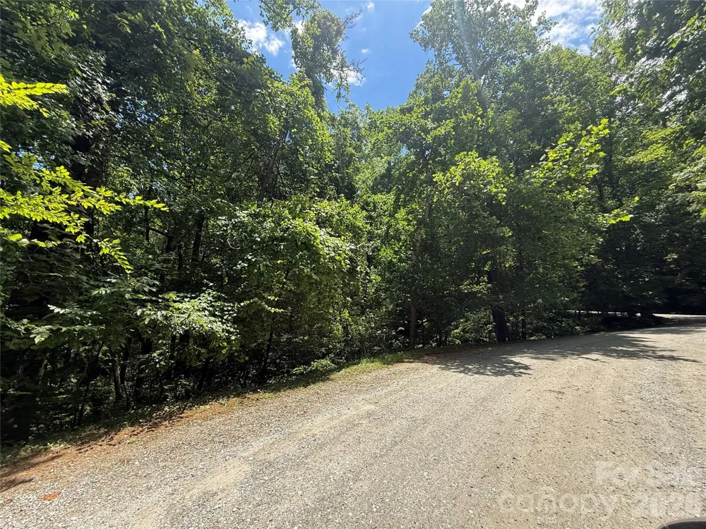 1 Rixhaven Drive Saluda, NC 28773