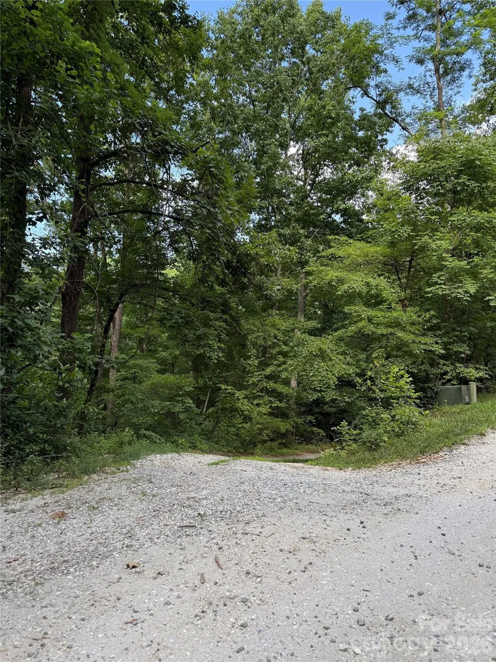 1 Rixhaven Drive Saluda, NC 28773
