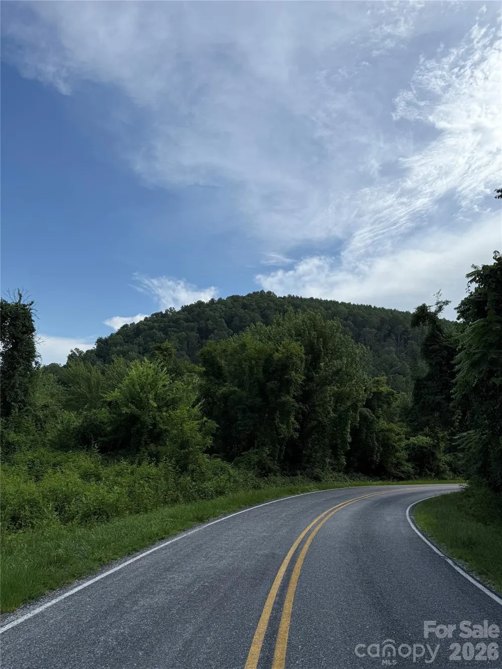 1 Rixhaven Drive Saluda, NC 28773