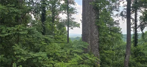 001 Windning Ridge