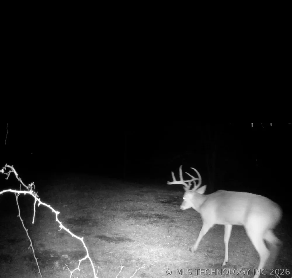 22841 County Road 3620 Stonewall, OK 74871