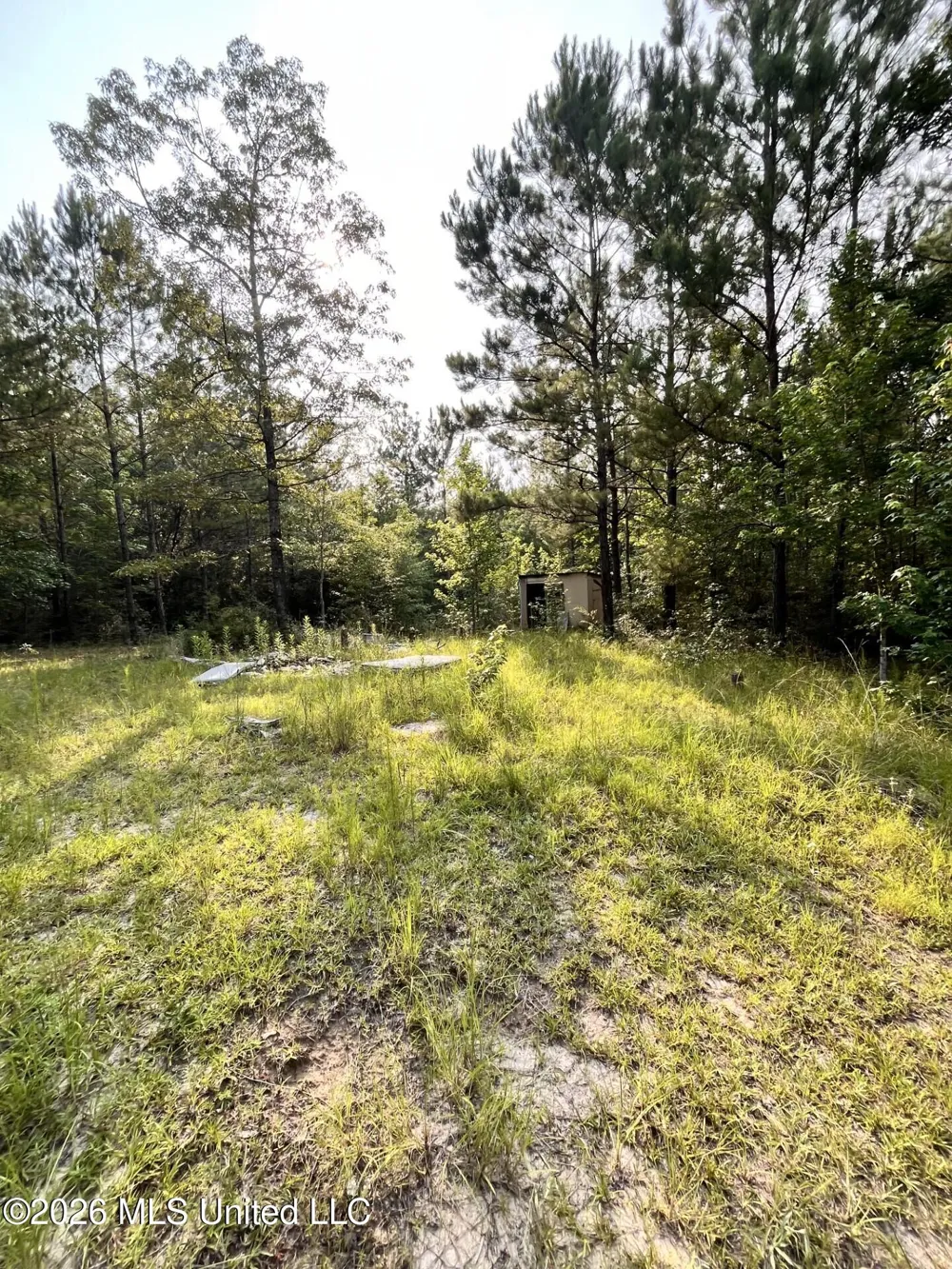 27 Roy Road Lumberton, MS 39455