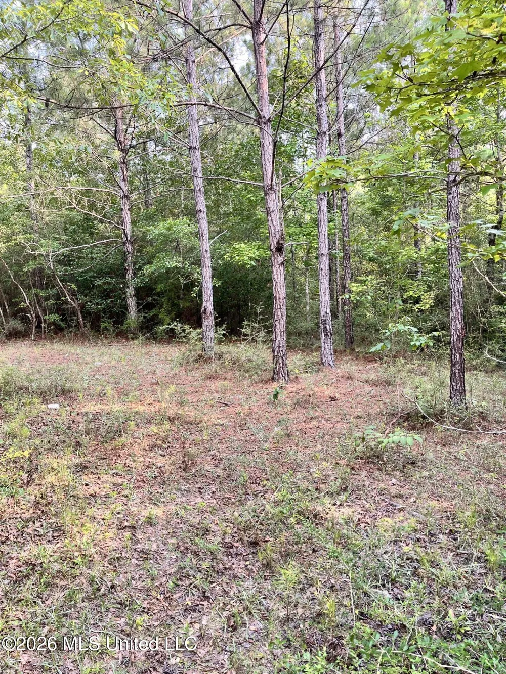 27 Roy Road Lumberton, MS 39455