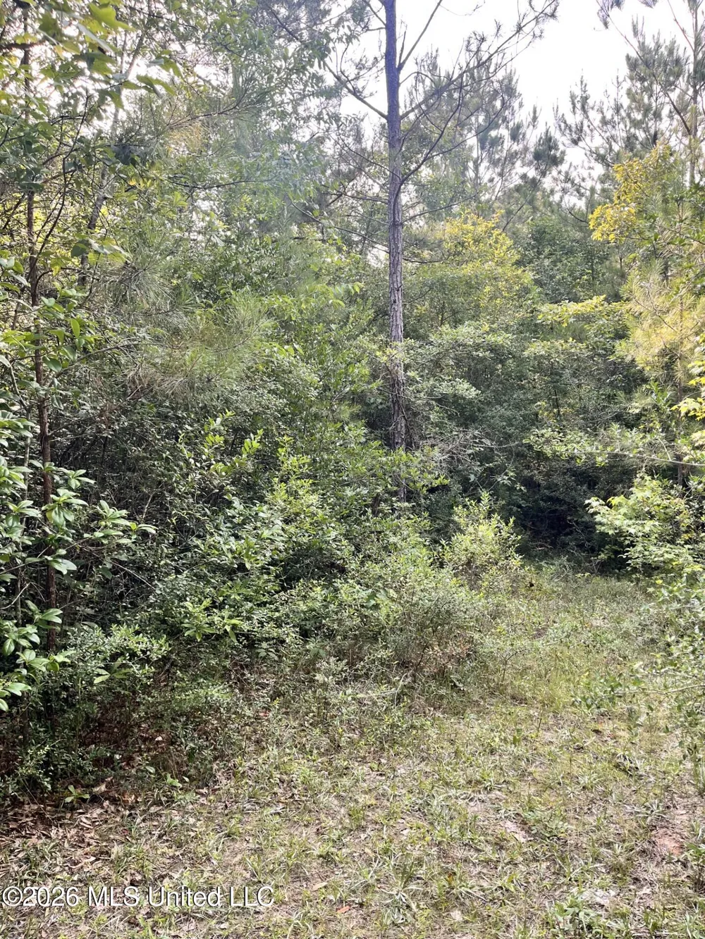 27 Roy Road Lumberton, MS 39455