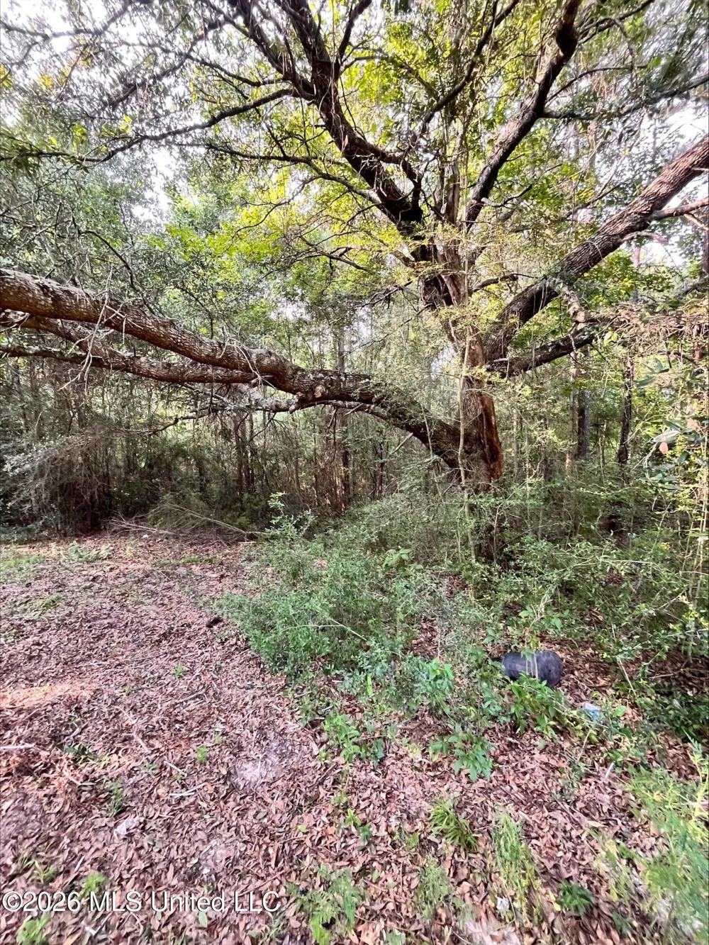 27 Roy Road Lumberton, MS 39455
