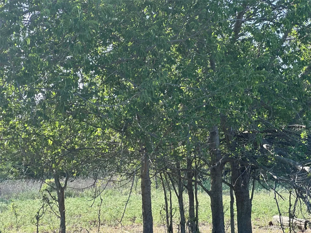 332 SW Railroad Ave Knox City, TX 79529