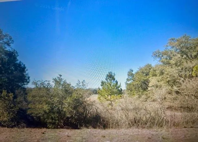 00 NW 60TH AVENUE Chiefland, FL 32626