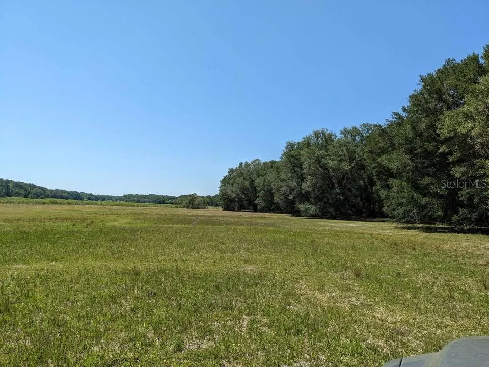 00 NW 60TH AVENUE Chiefland, FL 32626