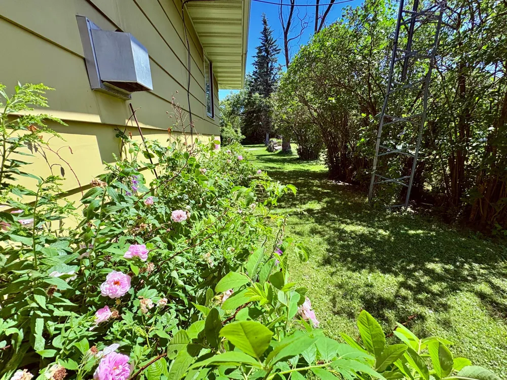 440 Chilgren Avenue Williams, MN 56686