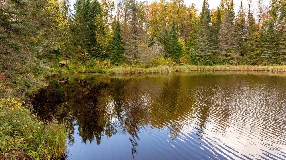 184 Acres 44047A Little Pine Road Emily, MN 56447