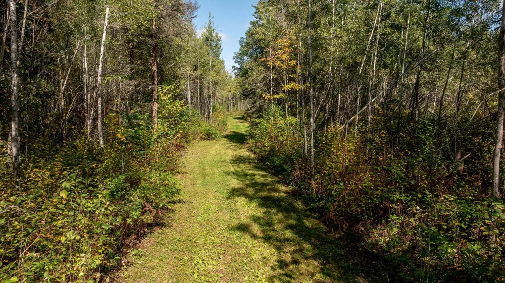 184 Acres 44047A Little Pine Road Emily, MN 56447