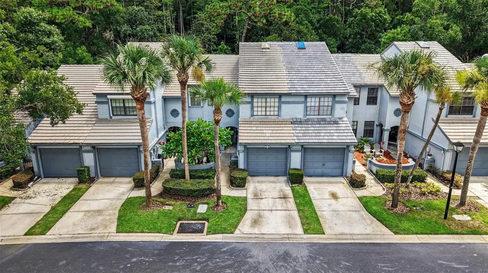 4107 BRENTWOOD PARK CIRCLE Tampa, FL 33624
