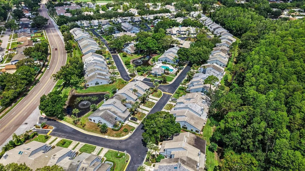 4107 BRENTWOOD PARK CIRCLE Tampa, FL 33624