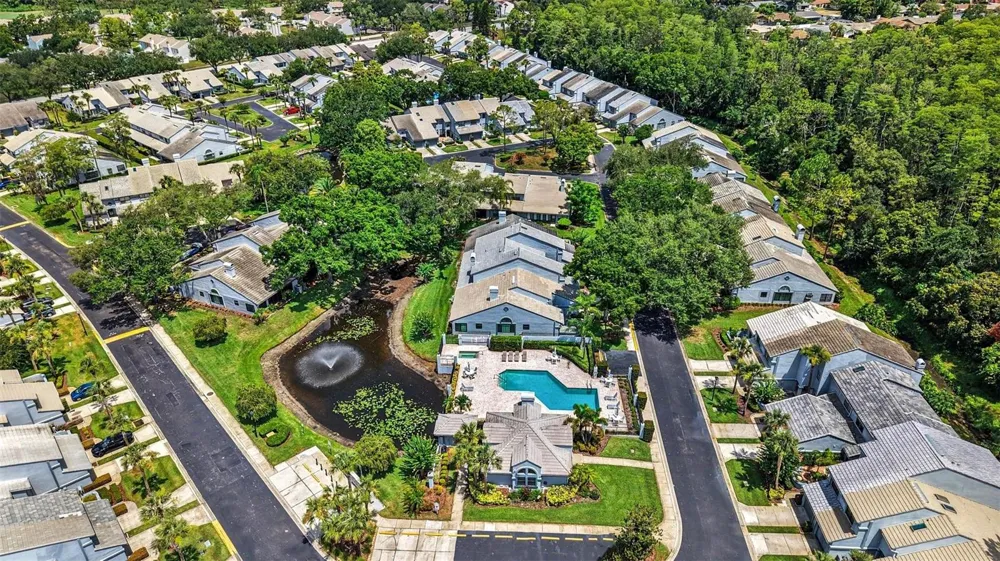 4107 BRENTWOOD PARK CIRCLE Tampa, FL 33624