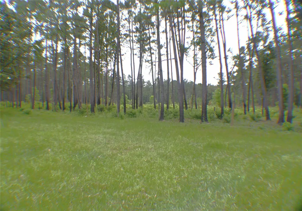 6450 Fm-2025 Coldspring, TX 77328