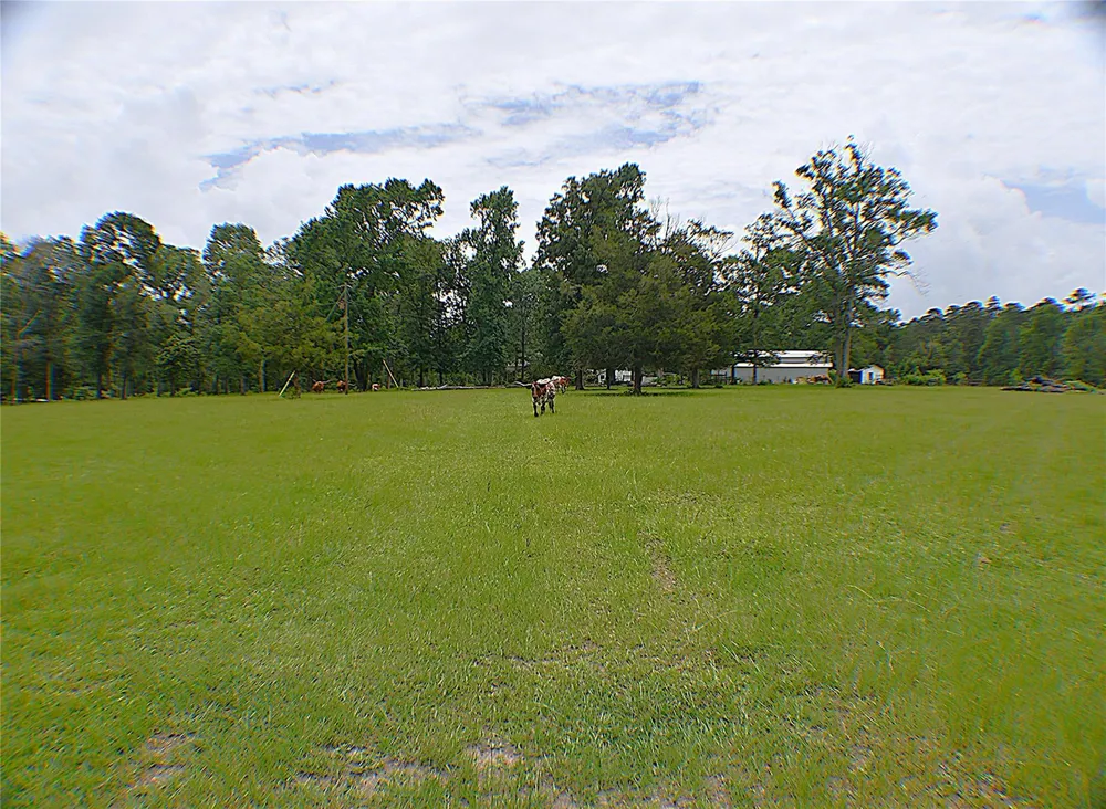 6450 Fm-2025 Coldspring, TX 77328