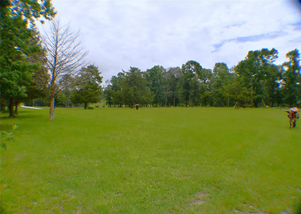 6450 Fm-2025 Coldspring, TX 77328
