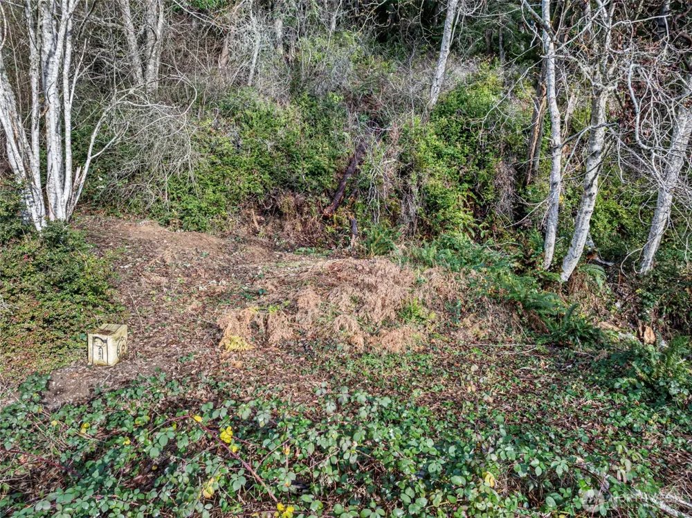 7364 NE North Shore Road Belfair, WA 98528