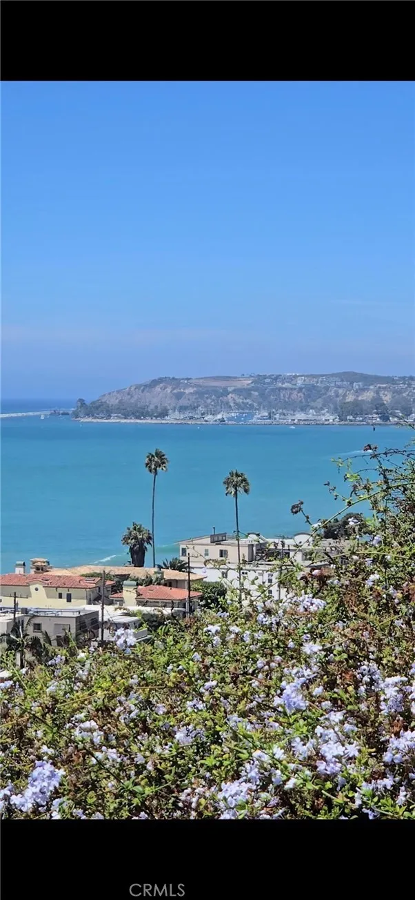 3501 Paseo Flamenco San Clemente, CA 92672