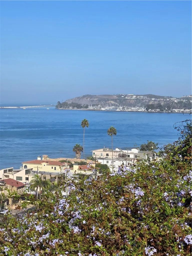 3501 Paseo Flamenco San Clemente, CA 92672