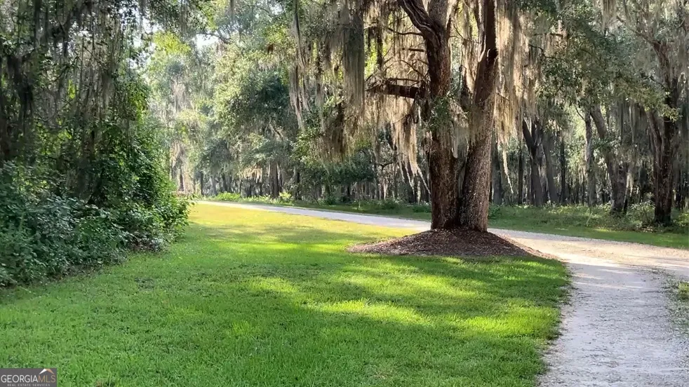 0 Wood Stork DR Darien, GA 31305
