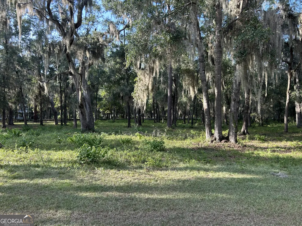 0 Wood Stork DR Darien, GA 31305