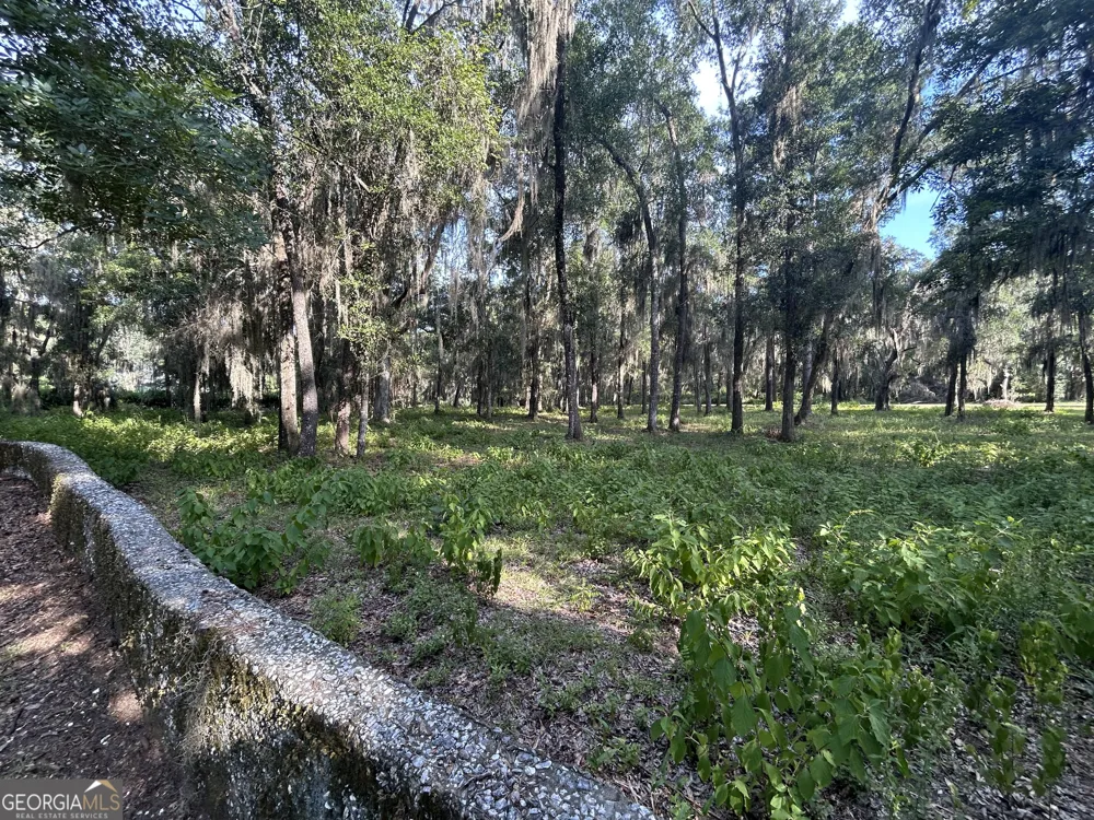 0 Wood Stork DR Darien, GA 31305