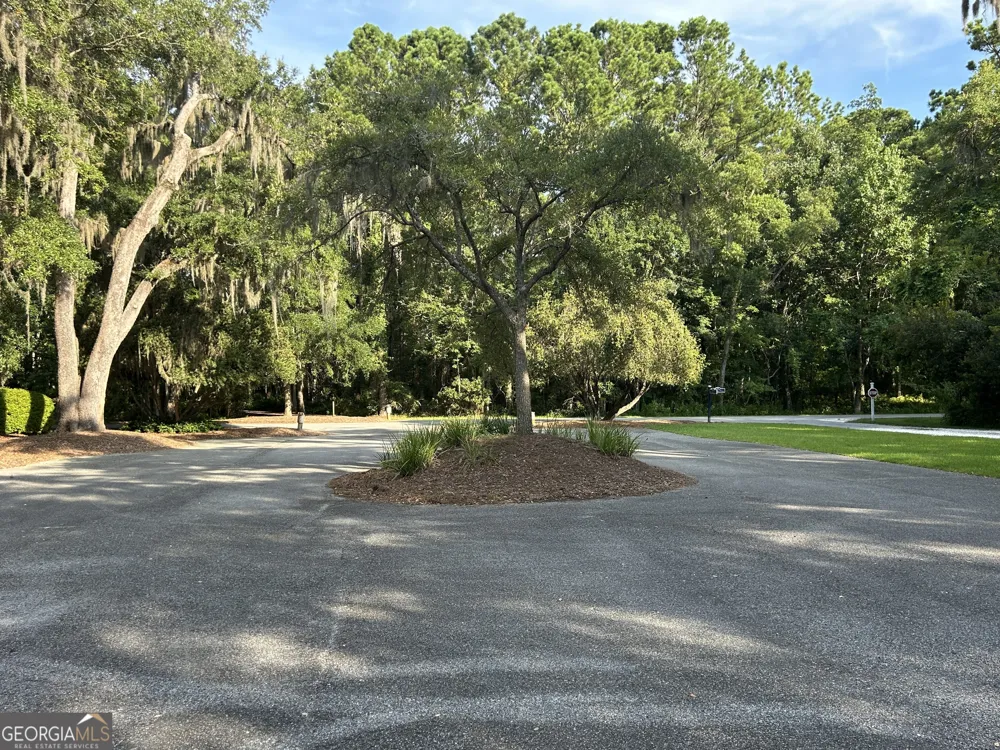 0 Wood Stork DR Darien, GA 31305