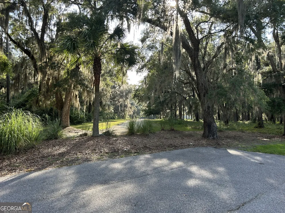 0 Wood Stork DR Darien, GA 31305