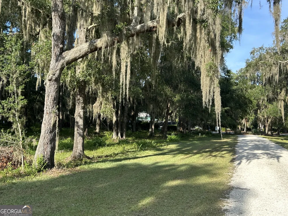 0 Wood Stork DR Darien, GA 31305