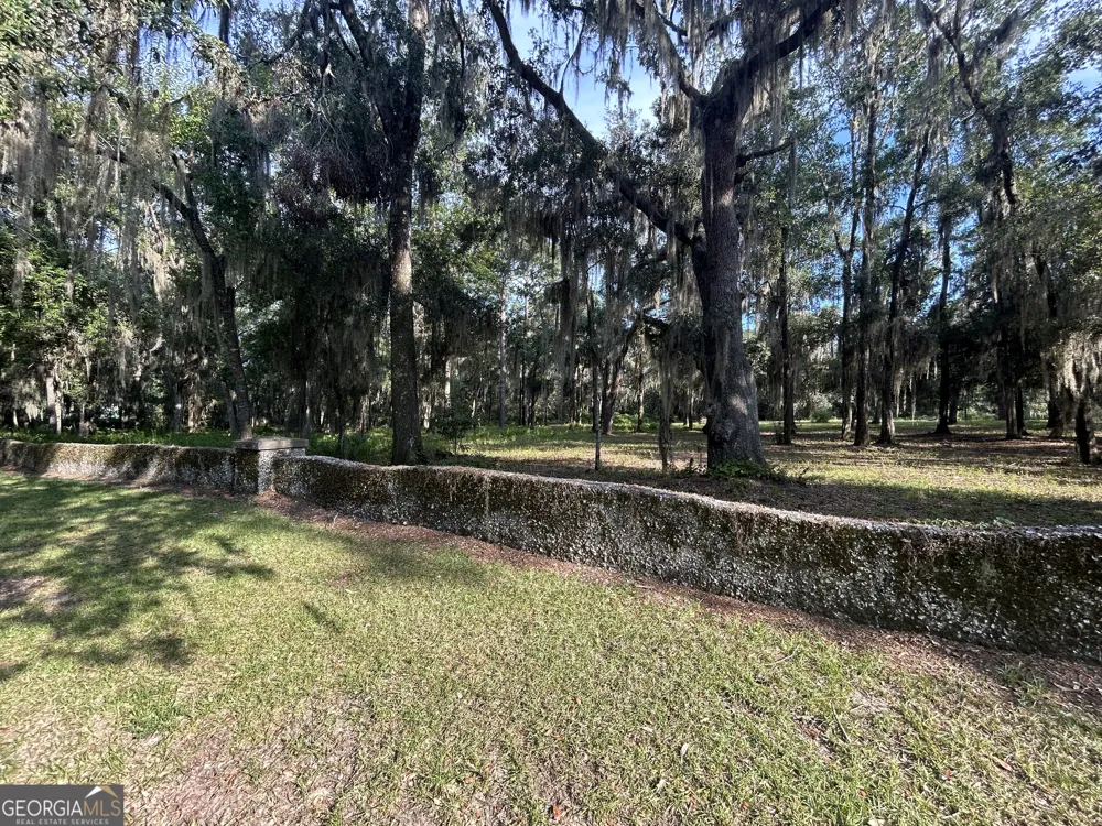 0 Wood Stork DR Darien, GA 31305