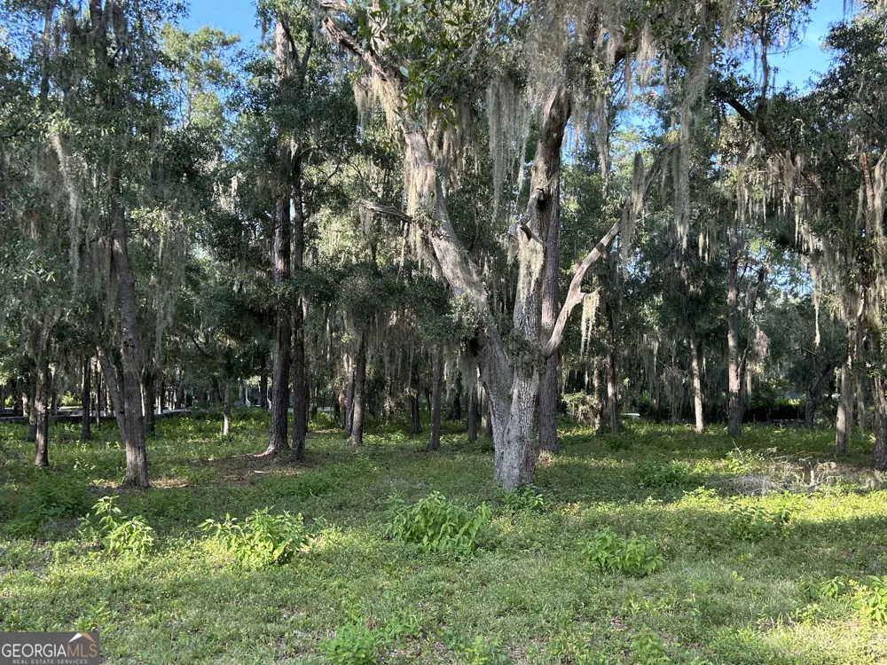 0 Wood Stork DR Darien, GA 31305
