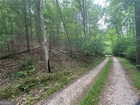 TRACT1 New Bethel Ch RD