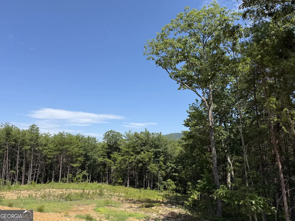 587 E Valley RD NE Rydal, GA 30171