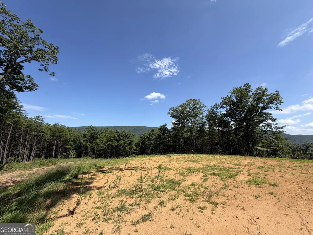 587 E Valley RD NE Rydal, GA 30171
