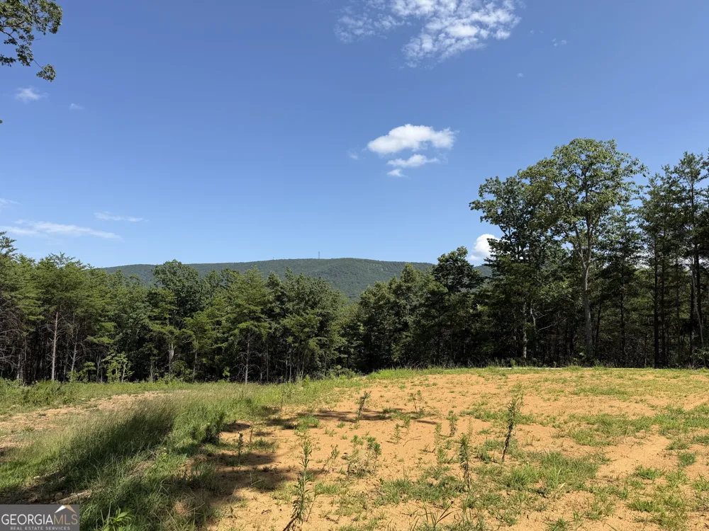 587 E Valley RD NE Rydal, GA 30171