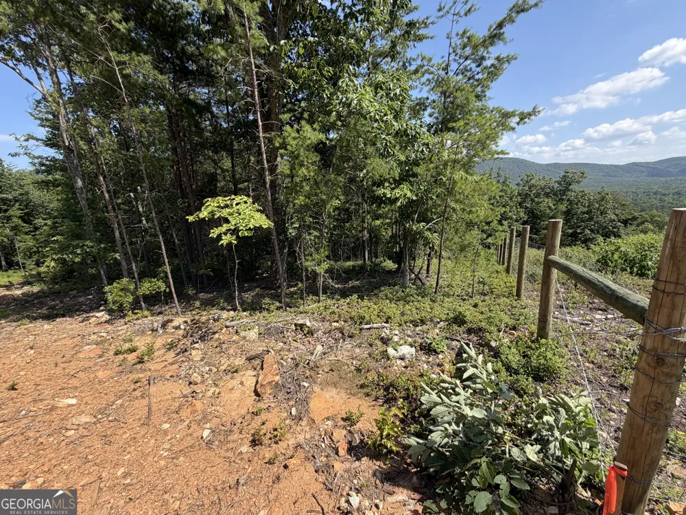 587 E Valley RD NE Rydal, GA 30171