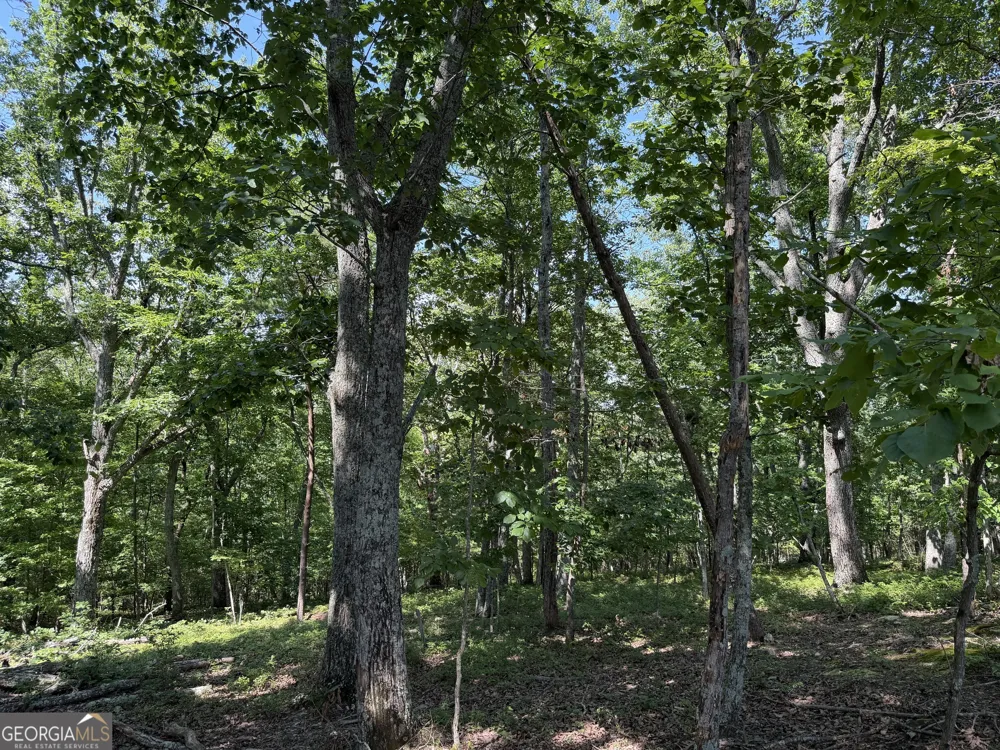 587 E Valley RD NE Rydal, GA 30171