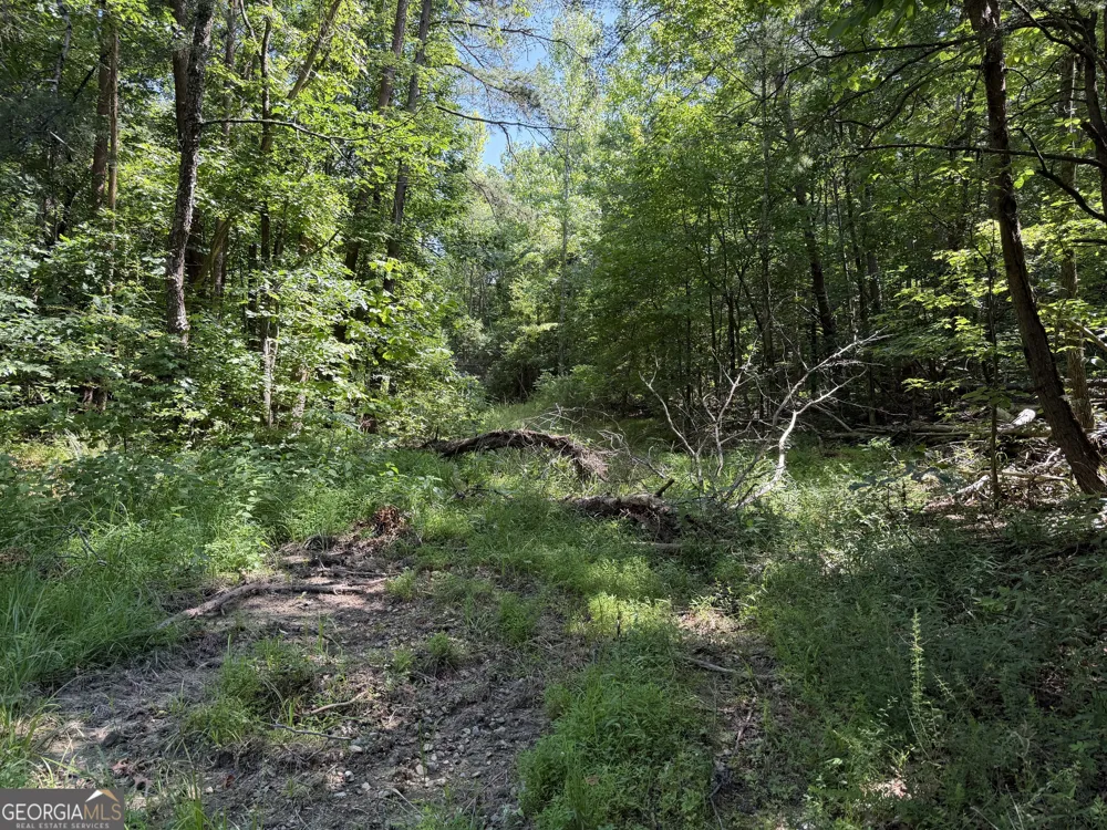587 E Valley RD NE Rydal, GA 30171