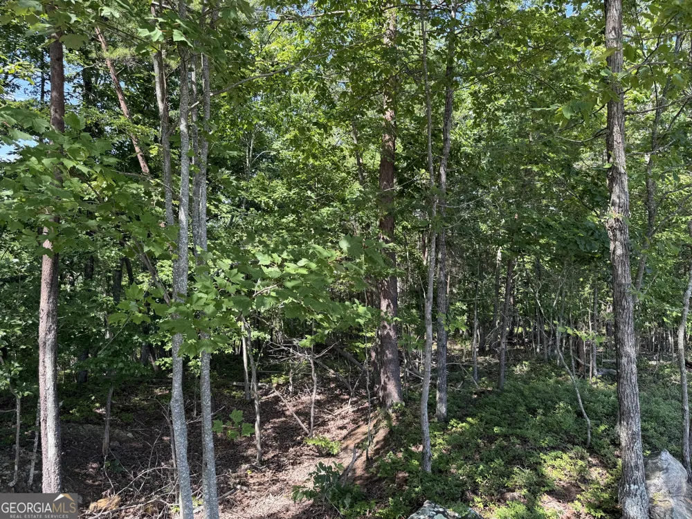 587 E Valley RD NE Rydal, GA 30171