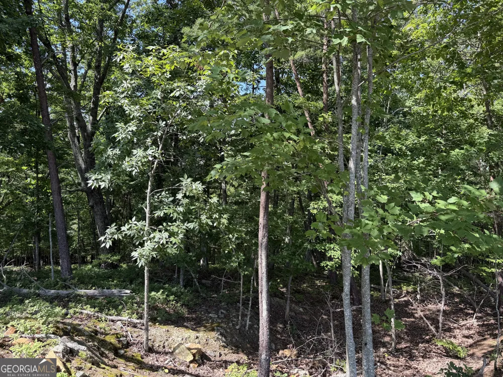 587 E Valley RD NE Rydal, GA 30171