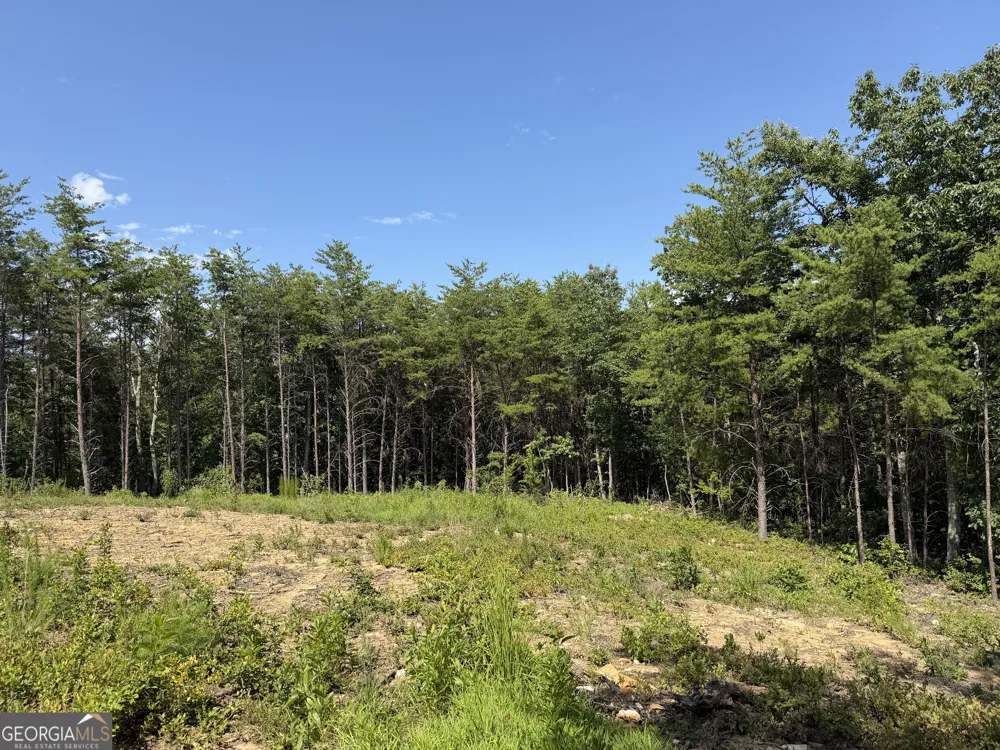 587 E Valley RD NE Rydal, GA 30171