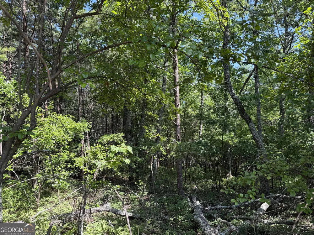 587 E Valley RD NE Rydal, GA 30171