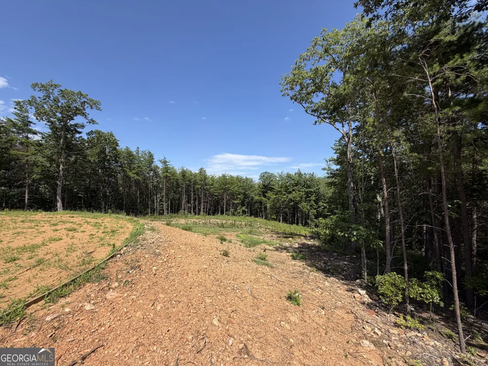 587 E Valley RD NE Rydal, GA 30171