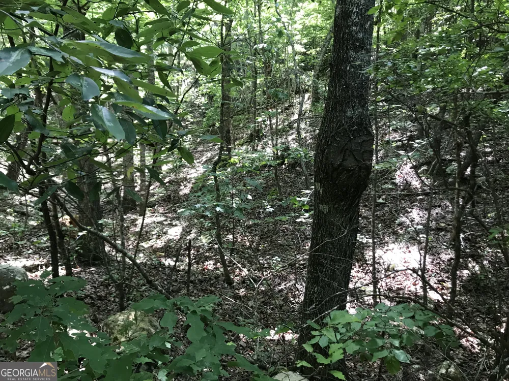 587 E Valley RD NE Rydal, GA 30171