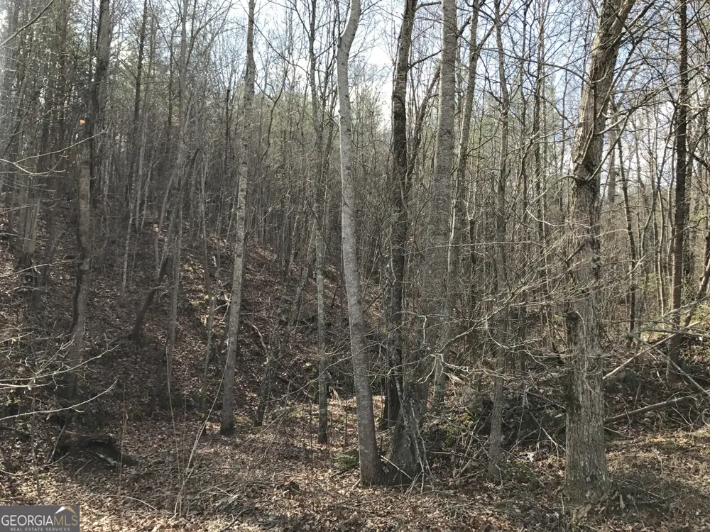 587 E Valley RD NE Rydal, GA 30171