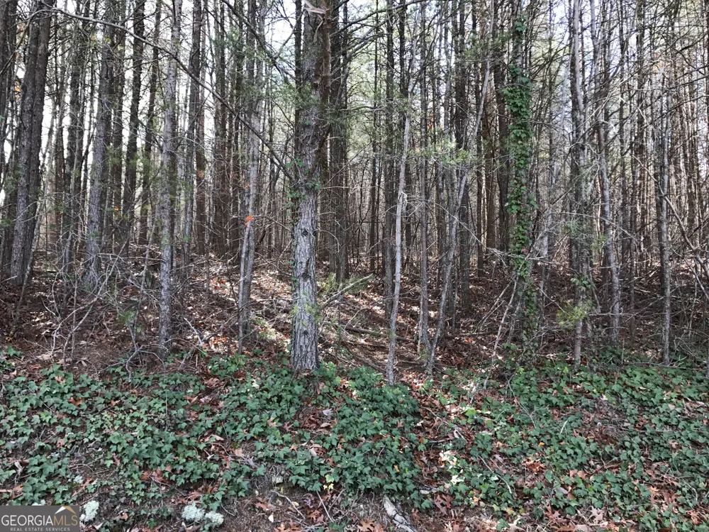 587 E Valley RD NE Rydal, GA 30171