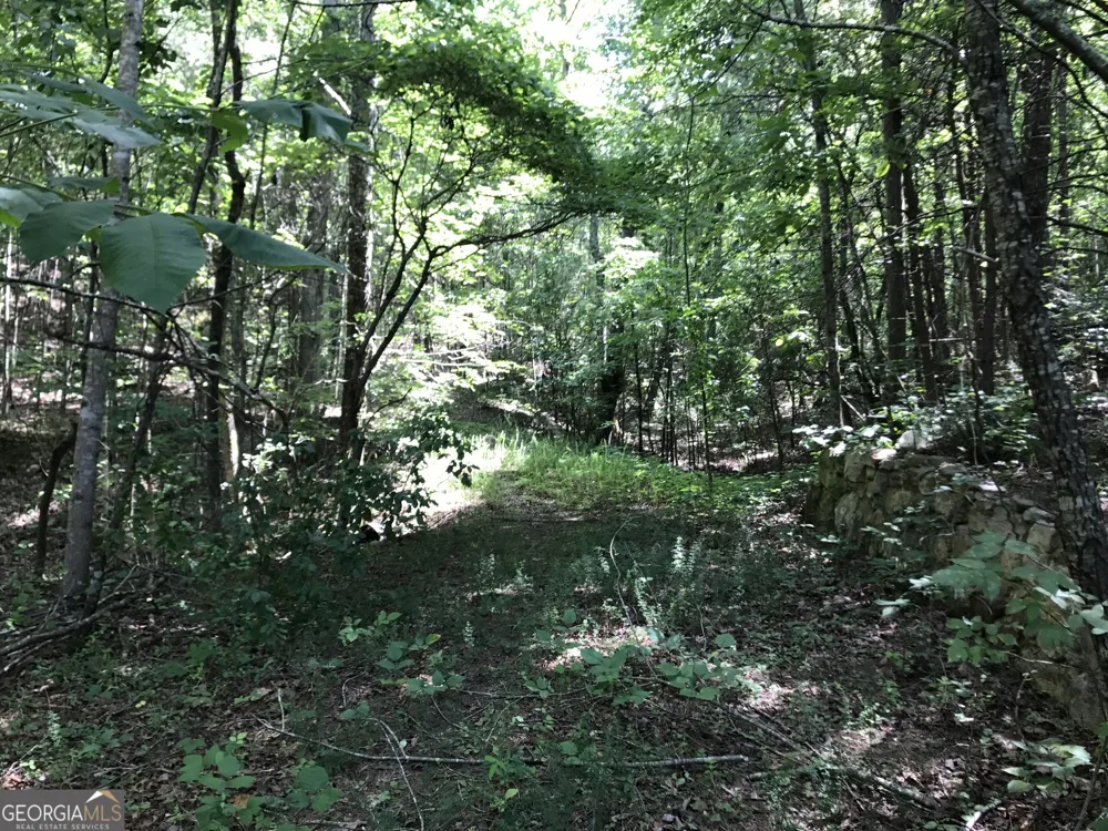 587 E Valley RD NE Rydal, GA 30171