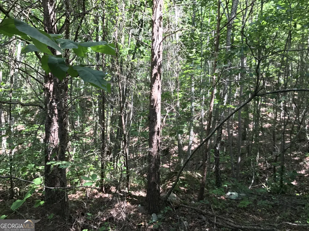 587 E Valley RD NE Rydal, GA 30171
